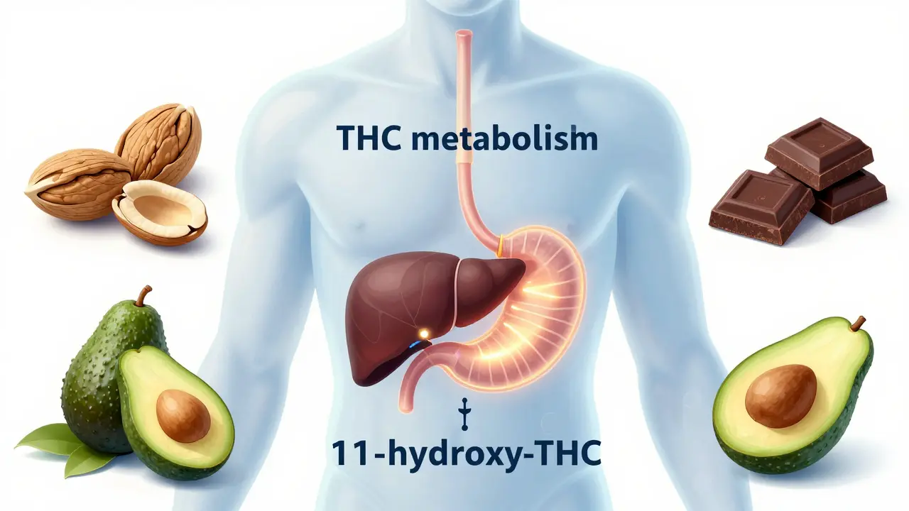 Průhledný lidský tělo s cestou THC přes játra do mozku, s přirozenými složkami kolem.
