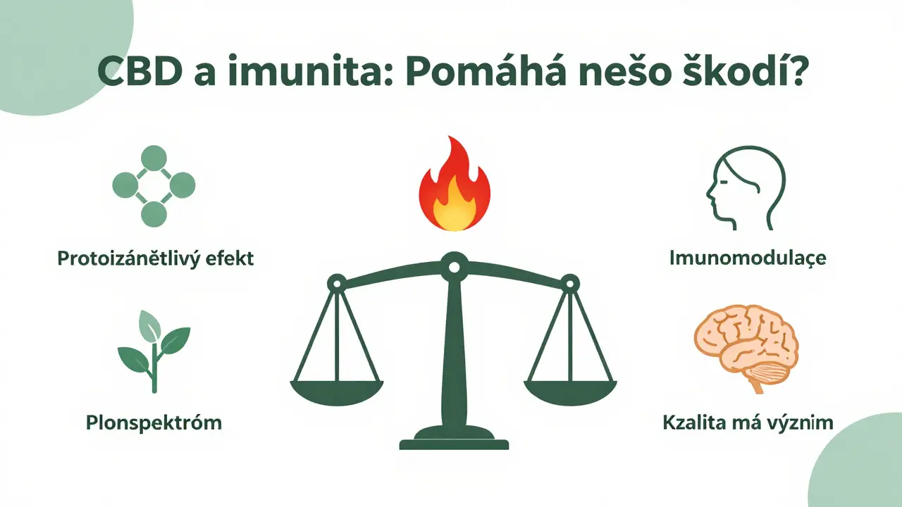 CBD a imunita: Pomáhá nebo škodí? Kompletní průvodce pro rok 2026
