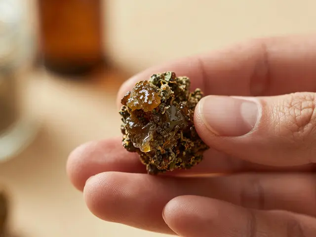 CBD hash a euforie: Proč vás CBD nedostane do extáze (a co cítíte místo toho)